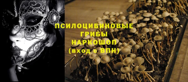 эйфоретик Алексеевка