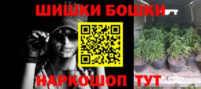 крисы Чебоксары