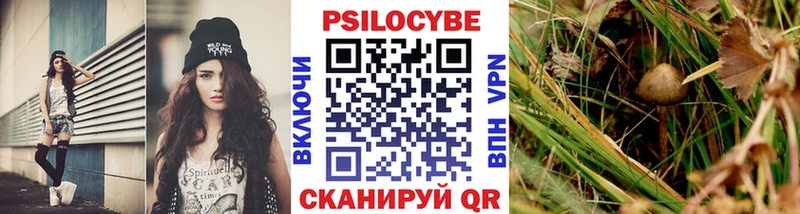 наркота Кондопога Псилоцибиновые грибы Psilocybe