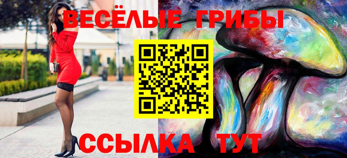 Псилоцибиновые грибы Magic Shrooms  Вход с VPN  Кондопога 